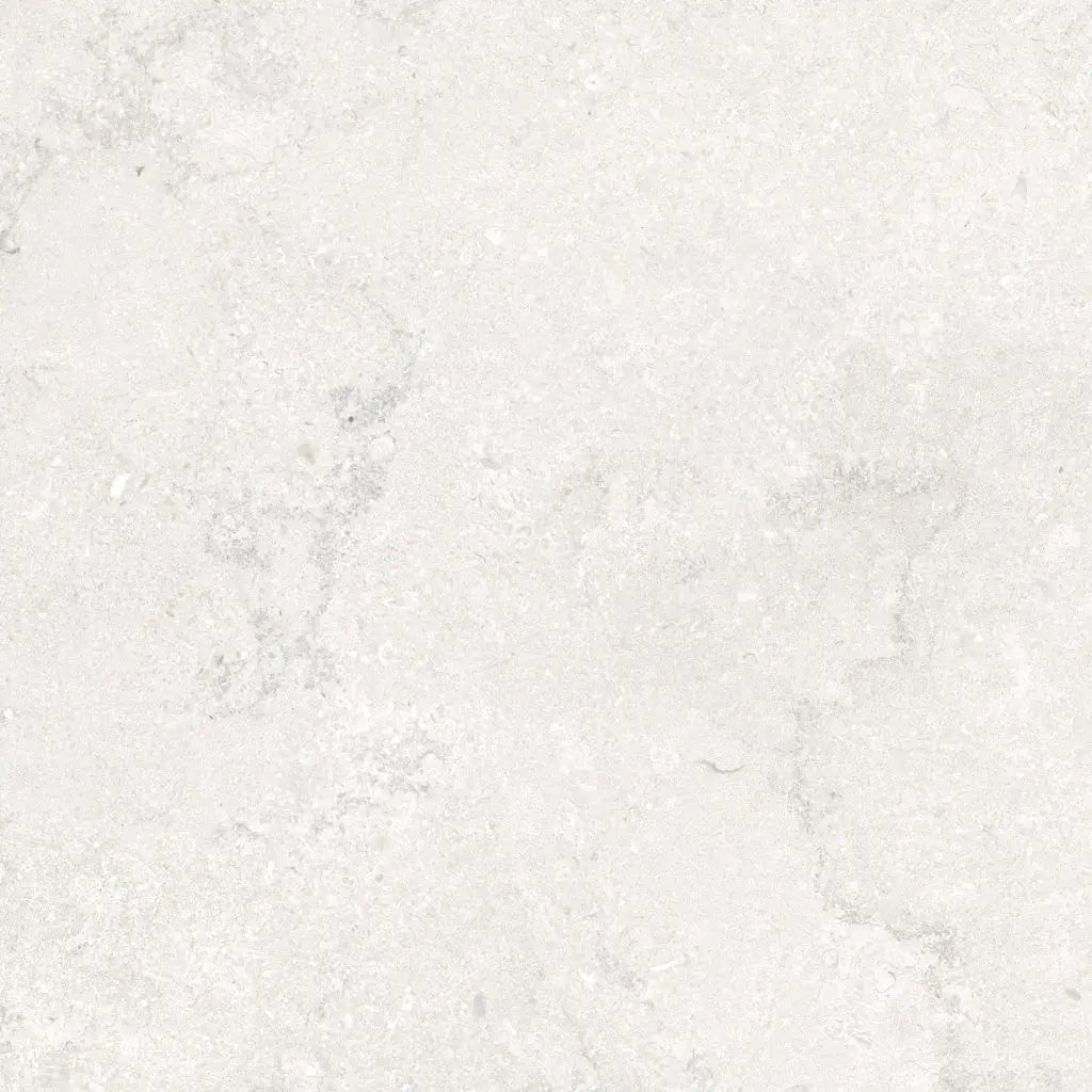 Solid light gray color swatch