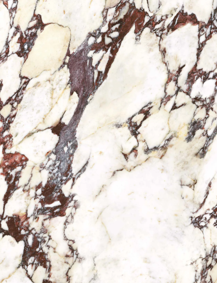 Regal The Collection Calacatta Viola